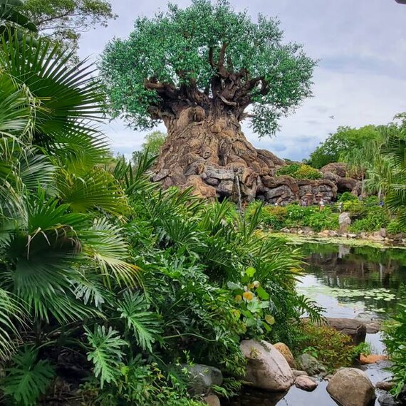 Orlando_Walt_Disney_World_Resort_9