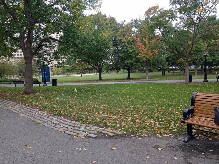 Ottawa_Confederation_Park_2