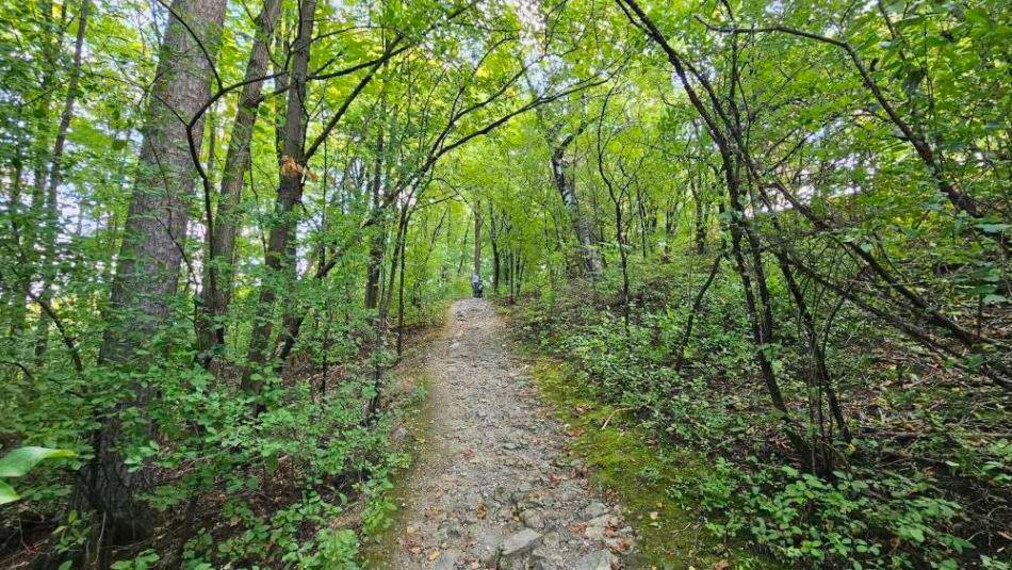 Ottawa_Hogs_Back_Park_8