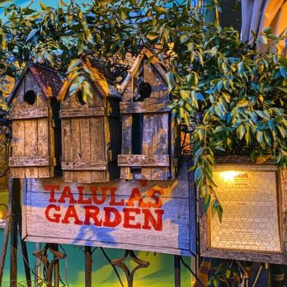 Philadelphia_Talulas_Garden_4