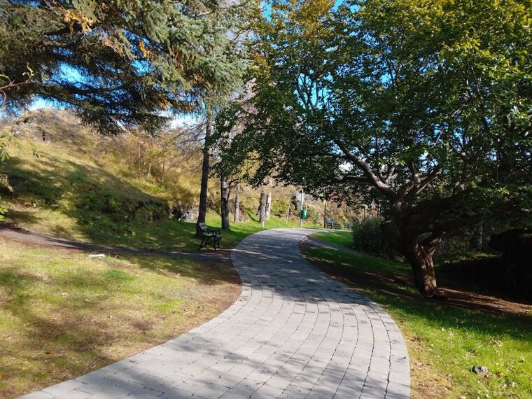 Reykjavik_Hellisgeroi_Park_10