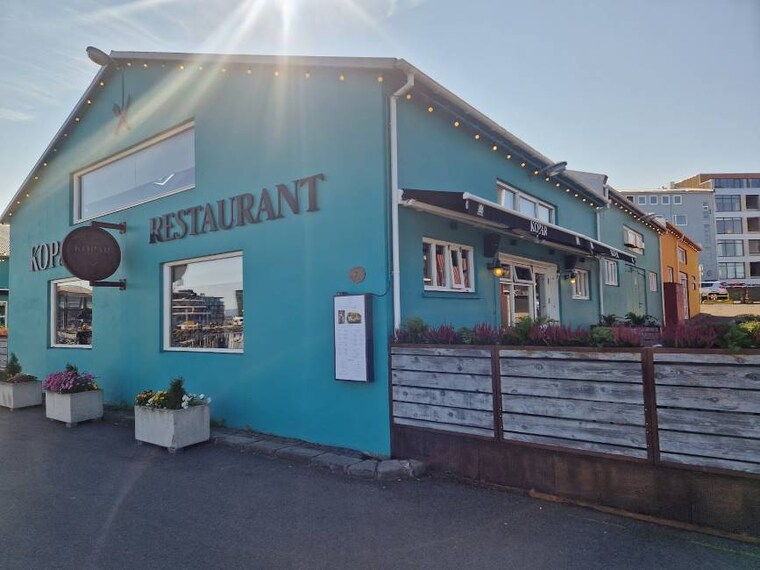 Reykjavik_Kopar_4