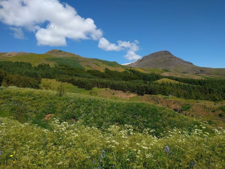 Reykjavik_Mount_Esja_9