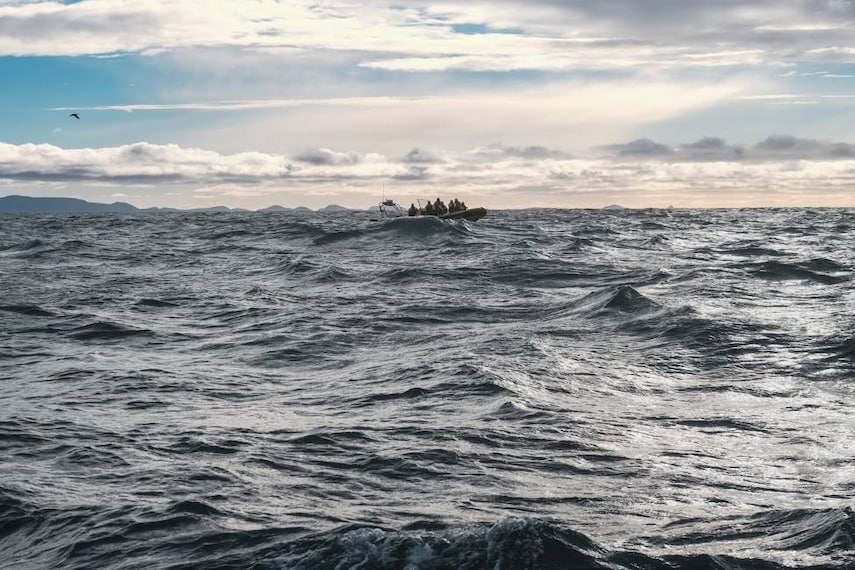 Reykjavik_Whale_Safari_7
