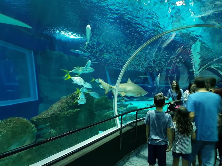 Rio_de_Janerio_AquaRio_5