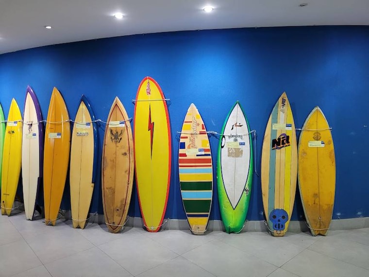 Rio_de_Janerio_AquaRio_6