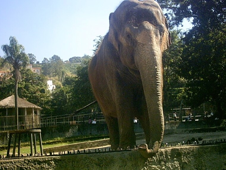 BioPark of Rio | Rio De Janerio - What to Expect | Timings | Tips ...