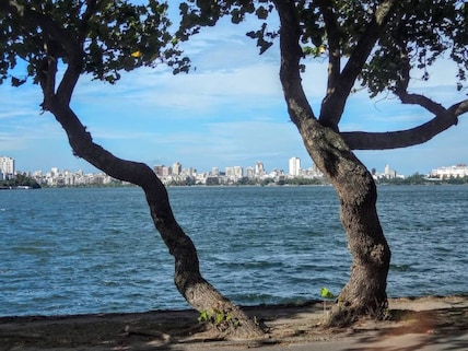 Rodrigo de Freitas Lagoon