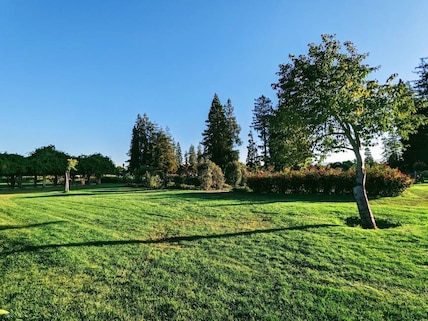Municipal Rose Garden