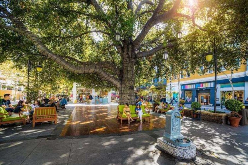 Santa_Clara_Santana_Row_2