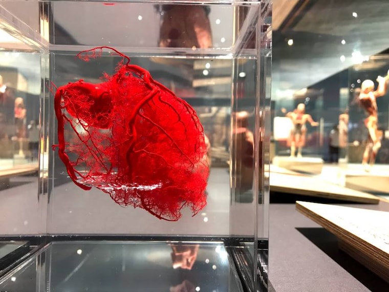 Santa_Clara_The_Tech_Interactive_6