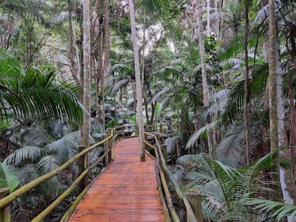 Parque Estadual das Fontes do Ipiranga