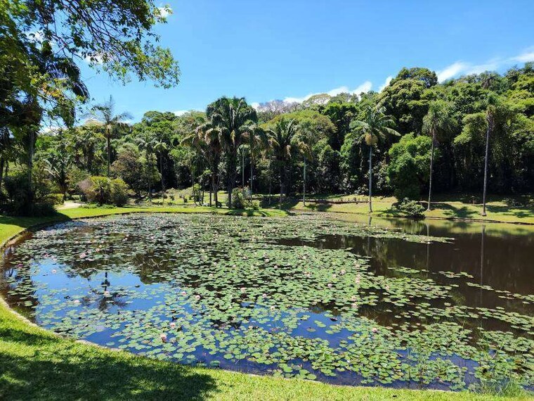 Sao_Paulo_Parque_Estadual_das_Fontes_do_Ipiranga_1
