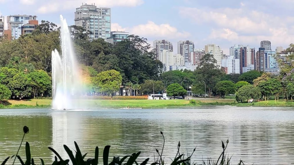 Sao_Paulo_Parque_Ibirapuera_5