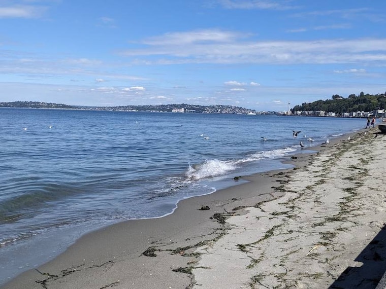 Seattle_Alki_Beach_Park_1