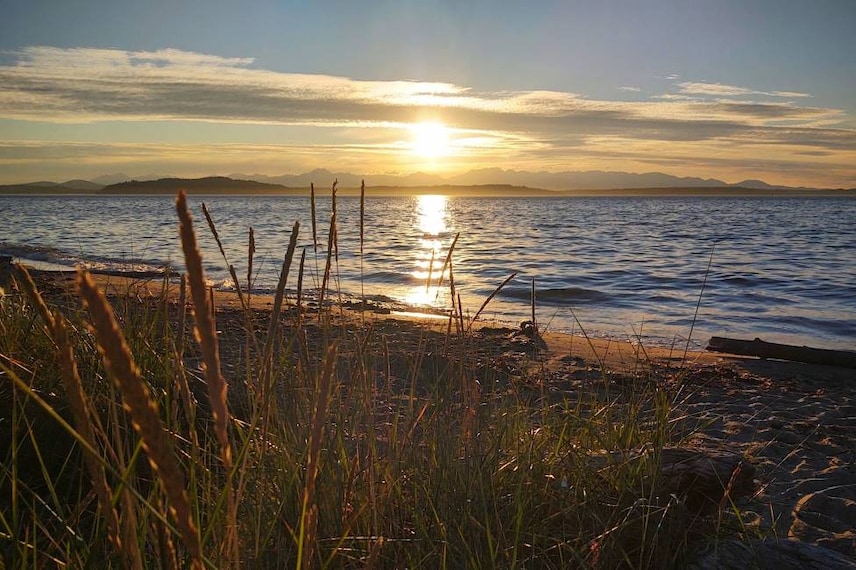 Seattle_Alki_Beach_Park_3