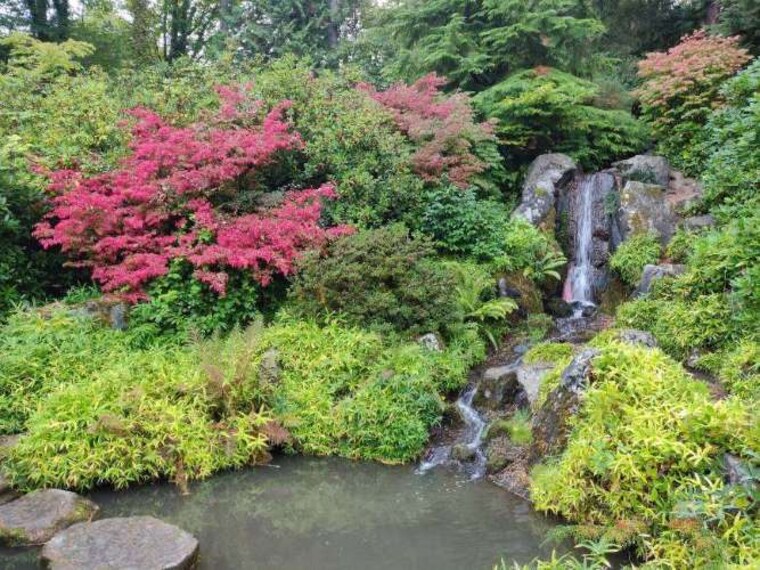 Seattle_Kubota_Garden_3