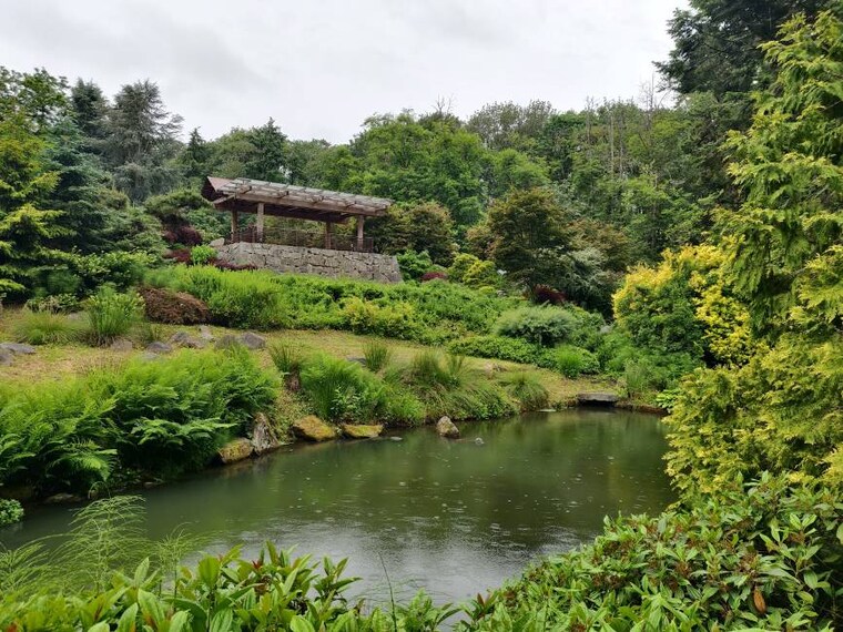 Seattle_Kubota_Garden_8