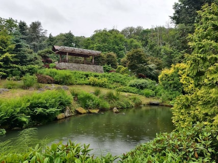 Kubota Garden