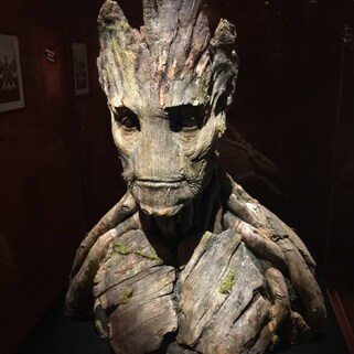 Museum of Pop Culture