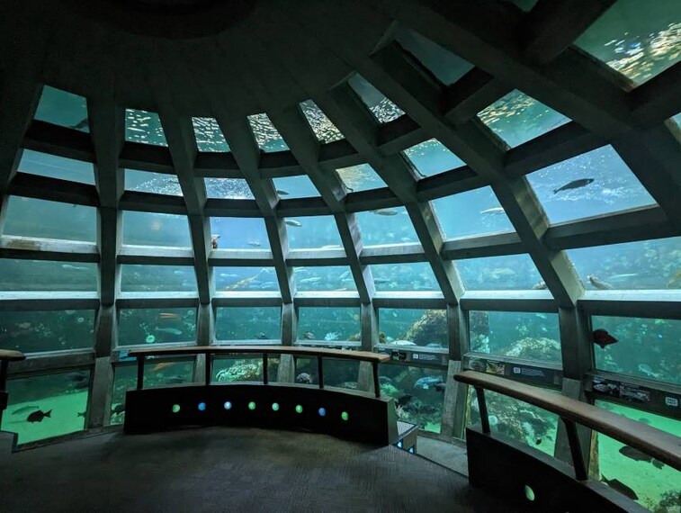Seattle_Seattle_Aquarium_2