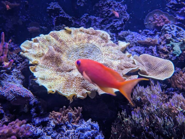 Seattle_Seattle_Aquarium_3