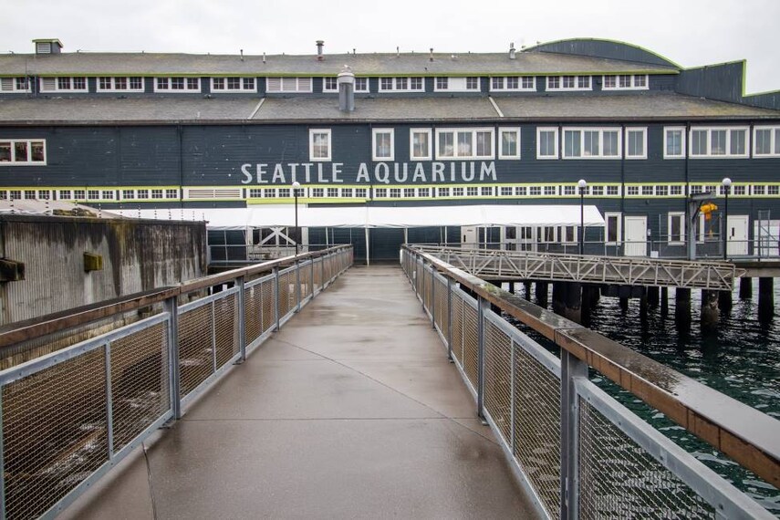 Seattle_Seattle_Aquarium_7