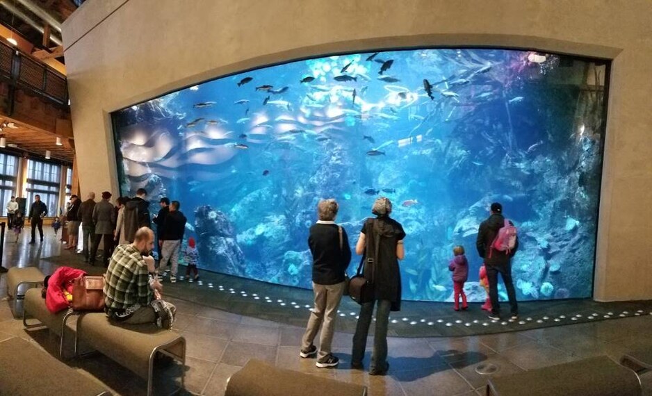 Seattle_Seattle_Aquarium_8