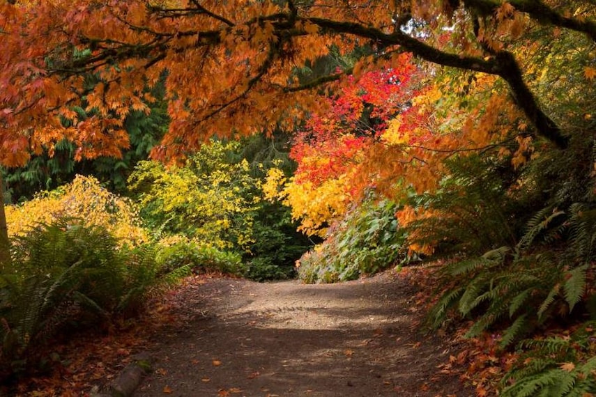 Seattle_Washington_Park_Arboretum_SS_1