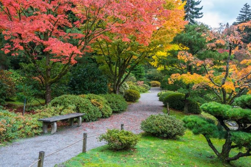 Seattle_Washington_Park_Arboretum_SS_5