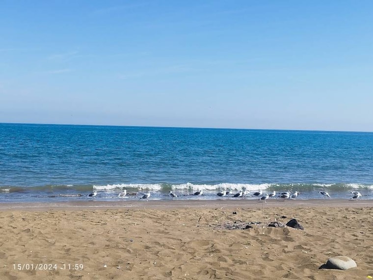 Sohar_Almenyal_Beach_Park_1