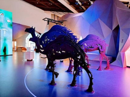 Oman Across Ages Museum