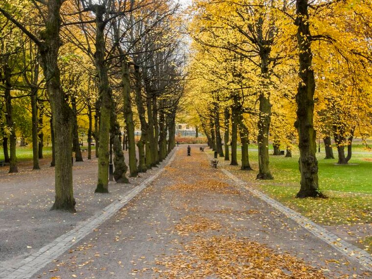 Stockholm_Humlegarden_4
