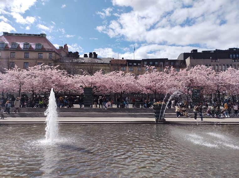 Stockholm_Kungstradgarden_2