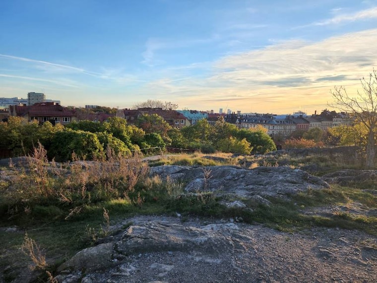 Stockholm_Skinnarviksberget_6