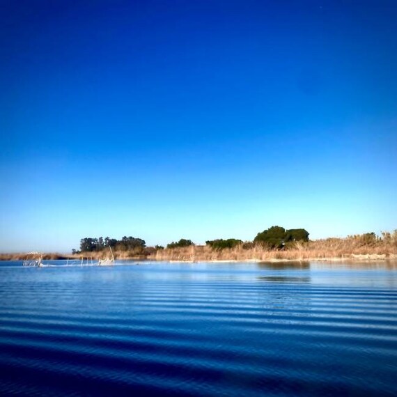 Valencia_Albuferra_Natural_Park_5