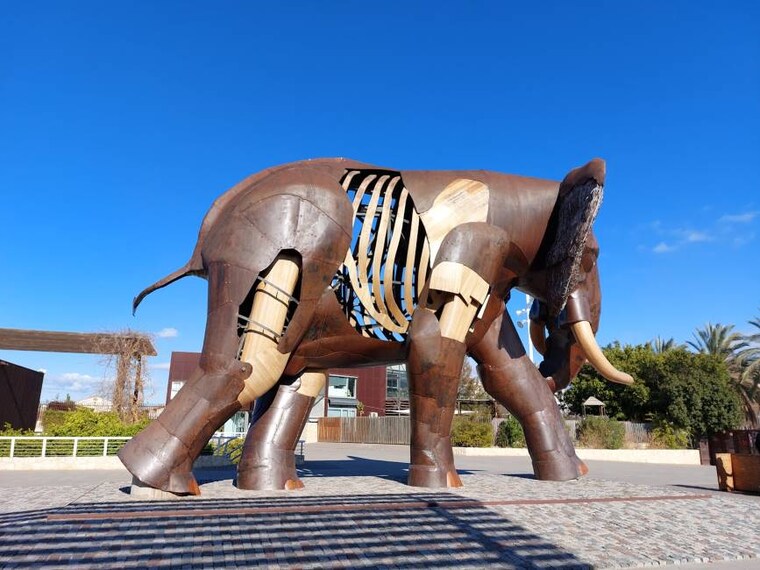 Valencia_Bioparc_Valencia_3