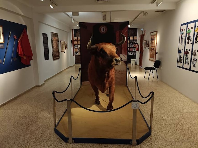 Valencia_Museo_Taurino_5