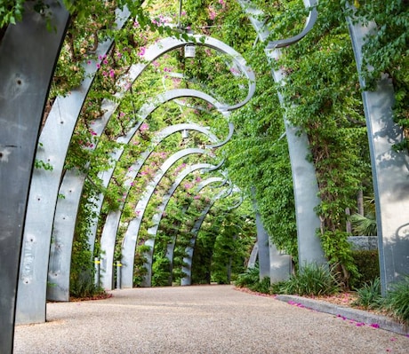 gardens_brisbane_dest-3_l_694_800.jpg