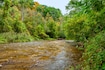hamilton_Bronte_Creek_Provincial_Park-1