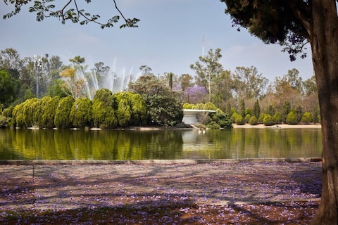 Bosque de Chapultepec