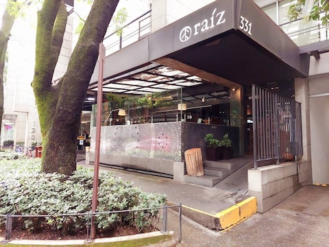 Raiz