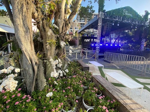 Oasis Wynwood