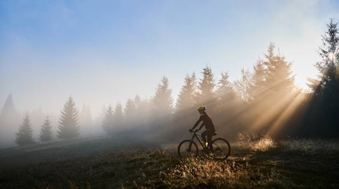 Cycling Through Sherwood Forests