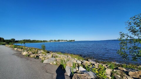 Andrew Haydon Park