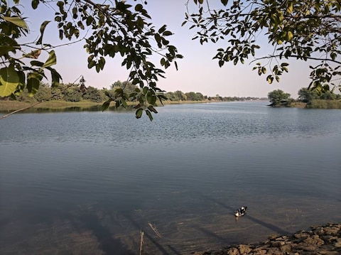 Nandavan Jungle Safari