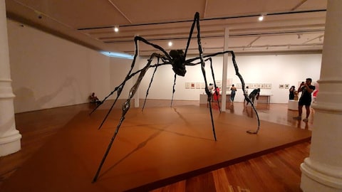 Rio Museum of Art