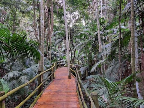 Parque Estadual das Fontes do Ipiranga