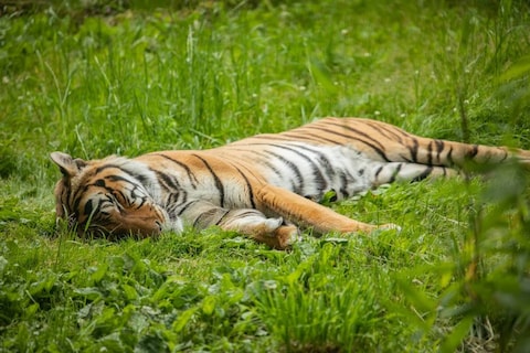 Woodland Park Zoo