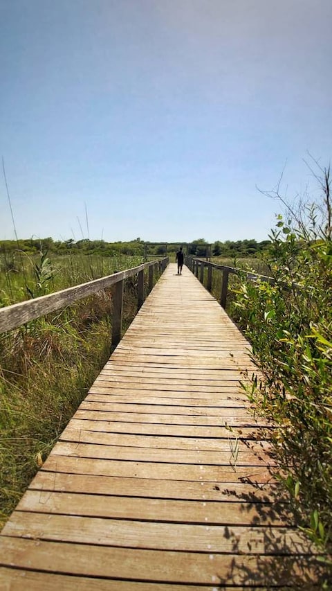 El Saler Beach
